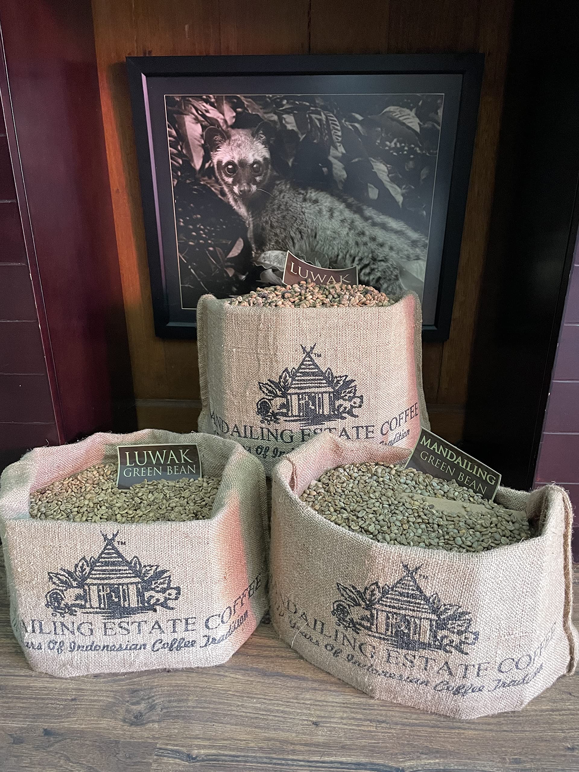 Amazon.co.jp: 【ドリップバッグ/10パック入り】 MANDAILING ESTATE